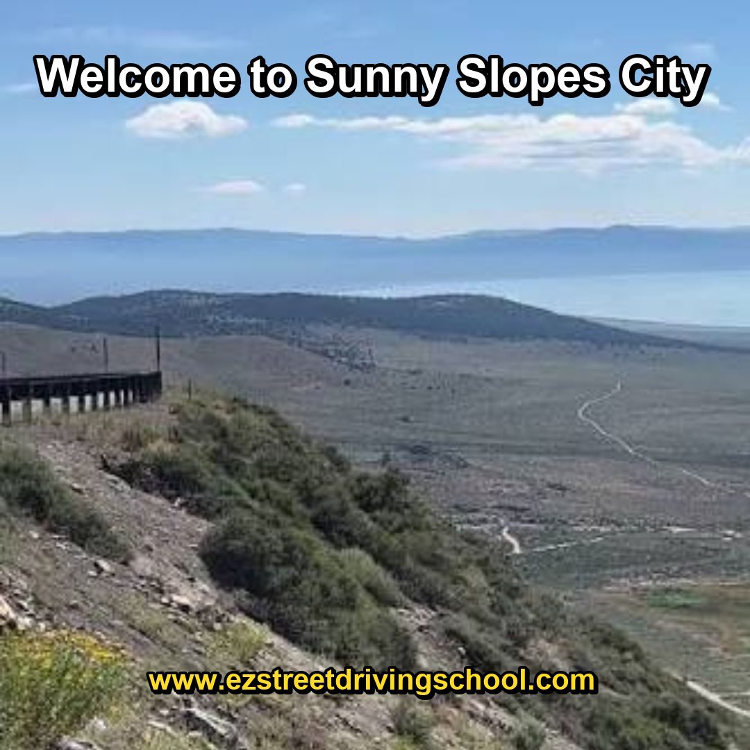 Driving Lessons in Sunny Slopes